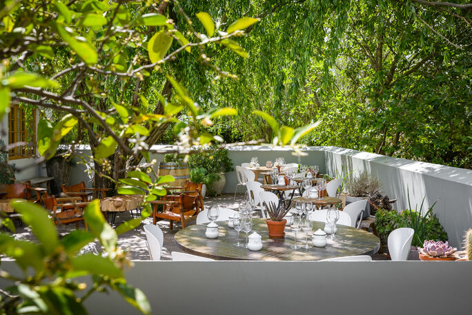 What to Expect on a Full-Day Wine Tour in Stellenbosch