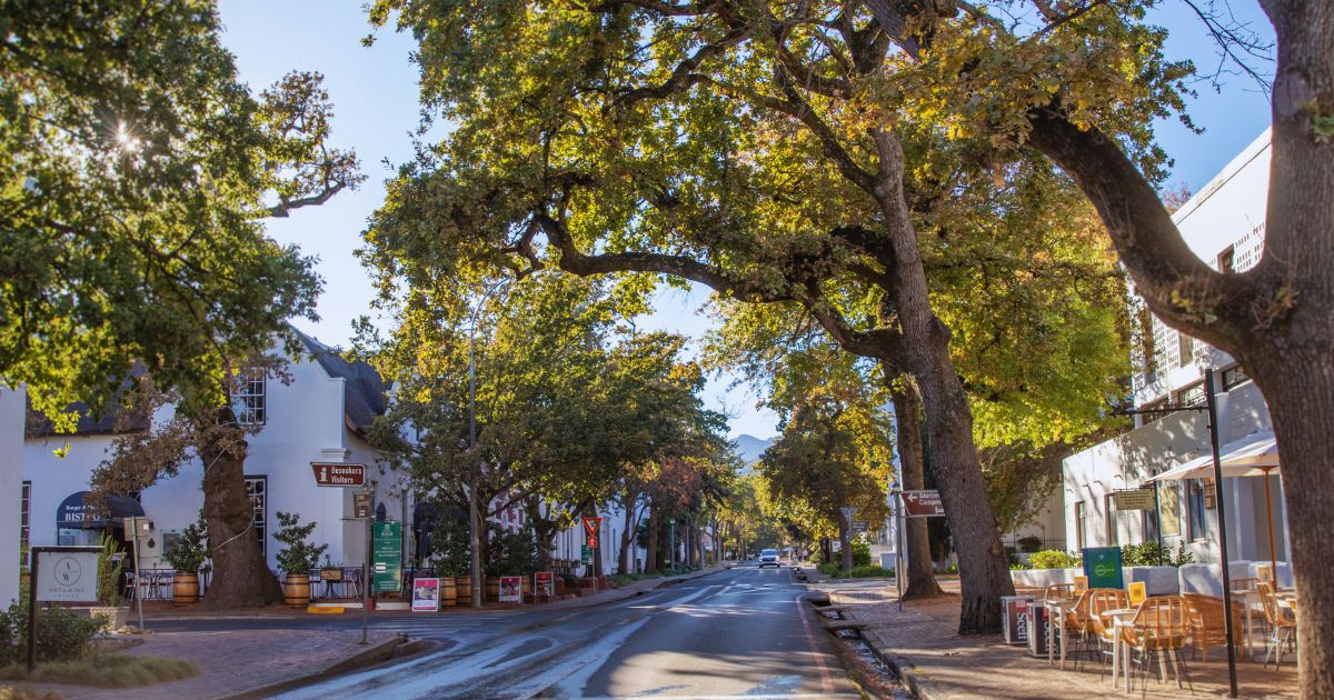 Cape Town to Stellenbosch: Planning a Wine Tour Day Trip